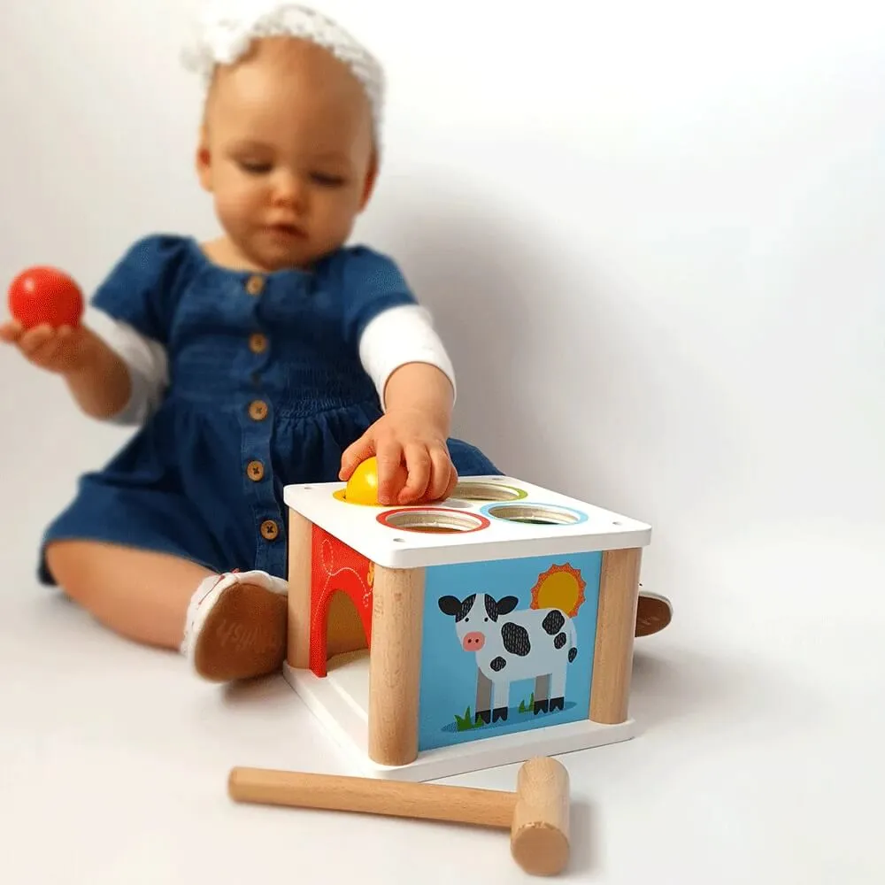 Bigjigs Tap Tap Ball