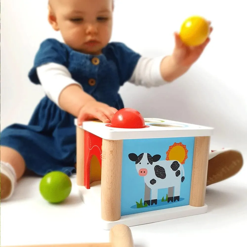 Bigjigs Tap Tap Ball