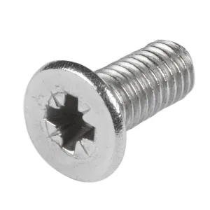 Scope SS304 Self Tap Screw- ea