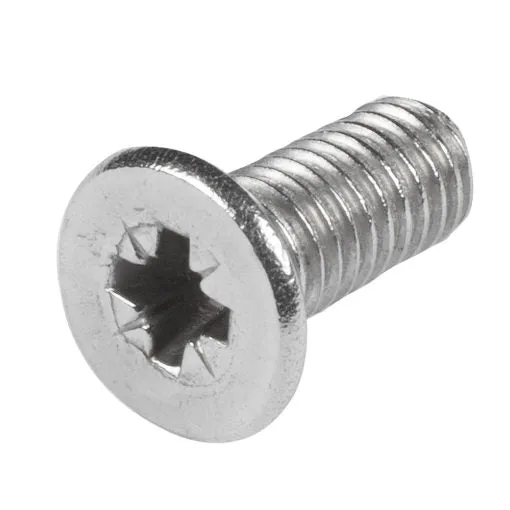 Scope SS304 Self Tap Screw- ea