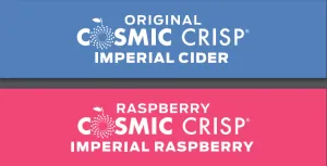 WS - Tap Handle Pinch Cards